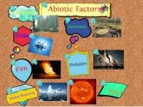 Abiotic(www.glogster.com).jpg